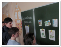 Неделя здоровья (82)