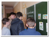 Неделя здоровья (78)