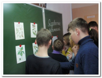 Неделя здоровья (52)