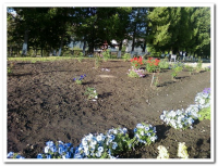 Школьный участок (68)