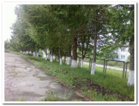 Школьный участок (61)