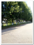 Школьный участок (13)