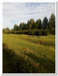 Школьный участок (10)