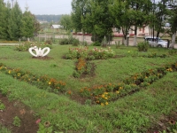 клумбы
