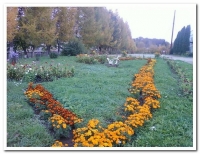 клумбы 3