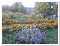 image (1)