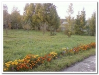 image (3)