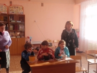 Посадка кедра (4)