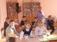 Посадка кедра (5)