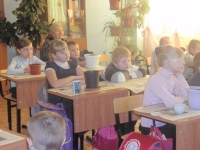 Посадка кедра (13)