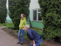 школьный лагерь-2017 (42)